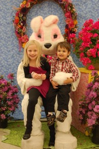 Walgreens Easter 2011 Store